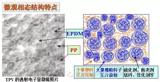 TPV結構
